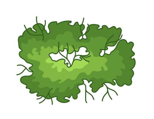 Tree for architectural floor plans. Entourage design. Various trees, bushes, and shrubs, top view for the landscape design plan. Vector illustration.