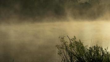 Timelapse landscape with morning fog in the forest lake video