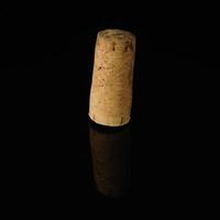 A close-up shot of a wine cork on a reflecting surface. photo