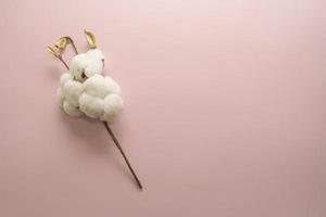 A branch of white cotton lying on a pink background photo