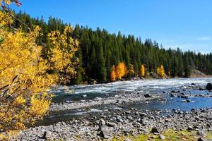 río de piedra amarilla y colores de otoño en una tarde soleada de otoño foto