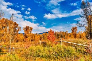 paisaje otoñal de la cordillera de teton foto