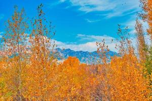 paisaje otoñal de la cordillera de teton foto