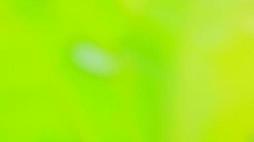 Blurred Abstract Green Nature Concept Background Design and Advertising Wallpaper  website advertising banner photo