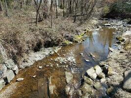 small creek or stream in the forest or woods photo