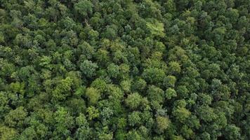 Beautiful aerial view to road with moutains and forest captured from above photo