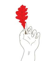 Hand holding red oak leaf. fallen autumn leaf. for decoration and background autumn. Isolated in white vector