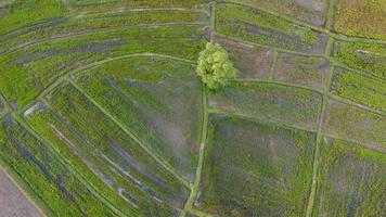 la vista aérea de la montaña es hermosa en tailandia foto