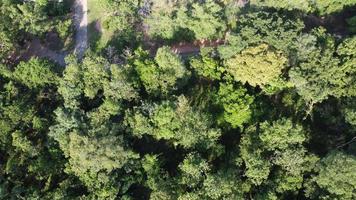 Beautiful aerial view to road with moutains and forest captured from above, photo