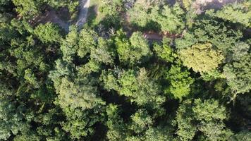 Beautiful aerial view to road with moutains and forest captured from above, photo