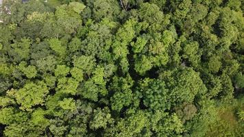 Beautiful aerial view to road with moutains and forest captured from above, photo