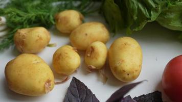pommes de terre dorées basilic violet et autres produits frais sur une surface blanche video