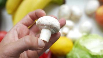 White button mushroom held and inspected in hand video