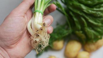 hand- houdt een bundel van groen uien met andere vers produceren in achtergrond video