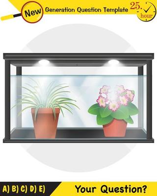 Photosynthesis Vector Art, Icons, and Graphics for Free Download