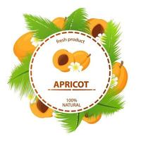 Circle label apricot tropical fruit  palm leaves  fresh product natural. Concept banner cosmetics, drinks, food for vegetarians or perfumes. Realistic illustration vector. vector