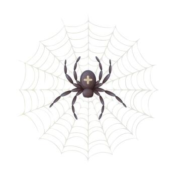 Spider in the web with a cross on its back, top view, cartoon vector illustration