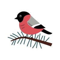 Chubby bullfinch on fir branch. Cute vector character of a red winter bird in a trendy hand drawn style. Perfect for a print, postcard or label