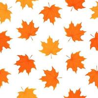 Vector illustration of the pattern of autumn leaves. Seamless pattern of variegated dried leaves