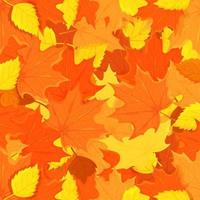 Vector illustration of a pattern of golden autumn leaves. Autumn background.