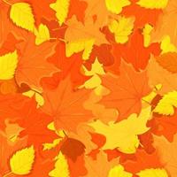 Vector illustration of a pattern of golden autumn leaves. Autumn background.