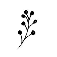 Vector black and white illustration of a twig with round berries. Botanical illustration. A hand-drawn doodle.