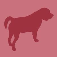 Veterinary dog passport, color silhouette vector