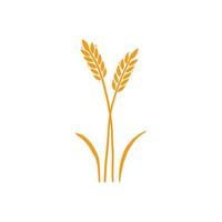 Wheat, barley, rice icon. Hand drawn vector