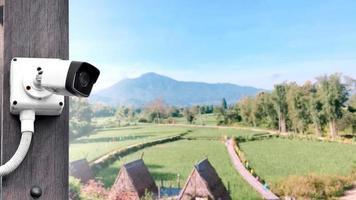 ip cctv camera installed on wooden pole, soft and selective focus, rice paddy field, guest houses and mountain background, concept for using ip cctv camera to monitor or to do the security. photo