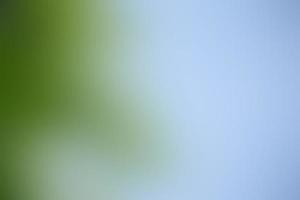 Blurred image of green leaf background. photo