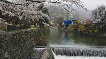 Beautiful cherry blossoms on the edge of Hozu, which is at the foot of the Arashiyama mountains. With a small flowing waterfall. photo