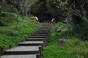 Upward staircases with green leafy forest in Taiwan photo