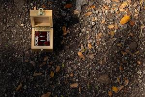 Wedding ring among dry leaves. photo