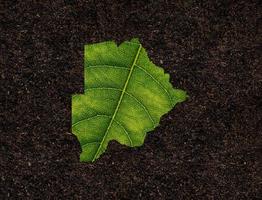 Botswana map made of green leaves on soil background ecology concept photo