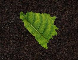 Bosnia and Herzegovina map made of green leaves on soil background ecology concept photo
