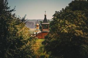 Church domes among the trees photo