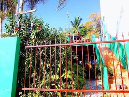 Orange Tropical Gate photo