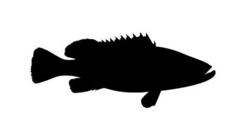 Groupers Fish Silhouette for Icon, Symbol, Pictogram, Logo or Graphic Design Element. Vector Illustration