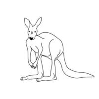 Outline kangaroo coloring page with cute animal, Australia animals rescue vector