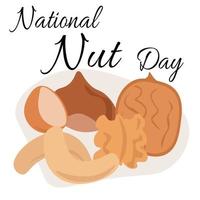 National Nut Day, idea for poster, banner, flyer or postcard vector