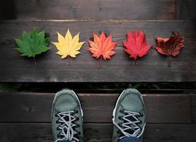 Beauty in Nature Concept. A Travelver Standing in front of Variety Color of Maple Leaves on Wooden Floor, Top View photo