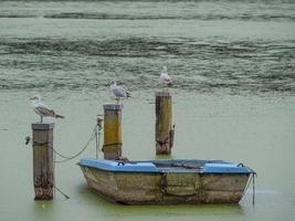 Lake near Borken in westphalia photo