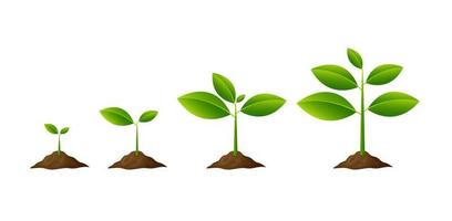 Plants growing in the ground isolated on white background vector