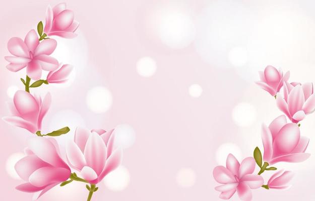 Pink Magnolia Flowers with Bokeh Effect