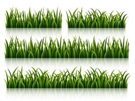 Set of green grass isolated on white background vector