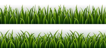 Set of green grass isolated on white background vector