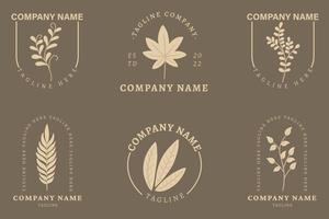 Minimalist Cream Leaf Leaves Tropical Logo Collection Style Dark Gray Pastel. vector