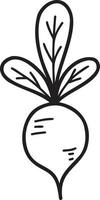 Hand Drawn radish illustration vector