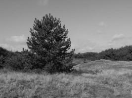 the german island Spiekeroog photo