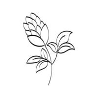 Floral Art.  flower drawing with line-art. vector